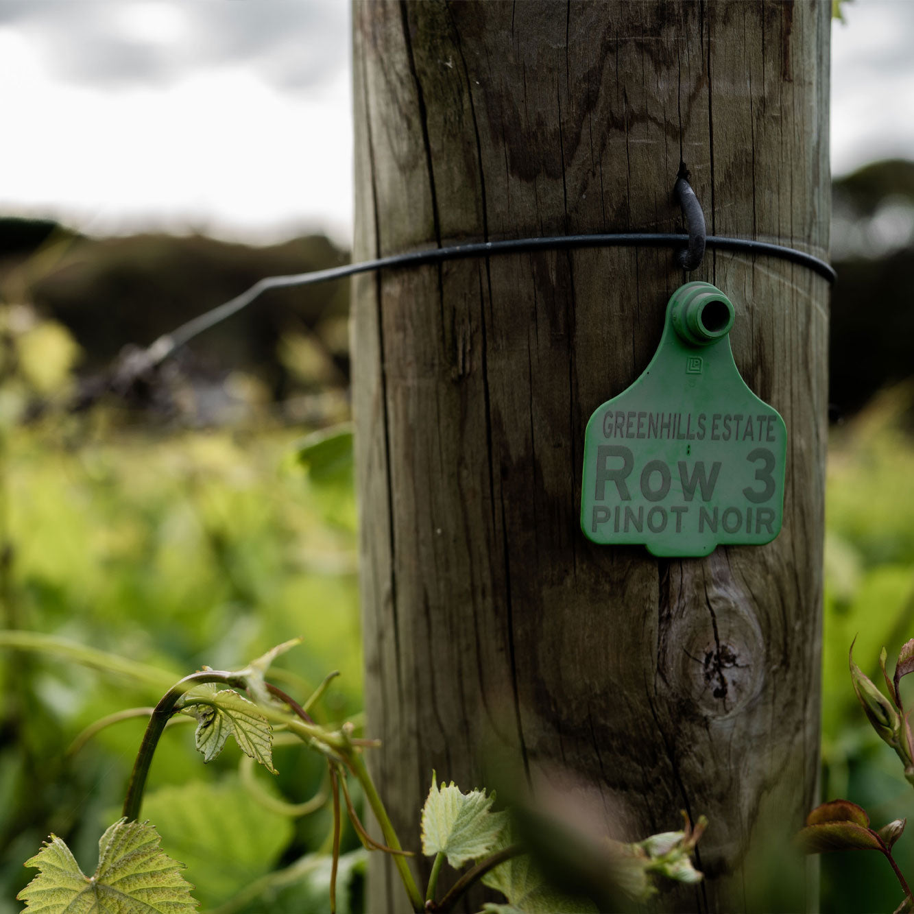 A tag on a post